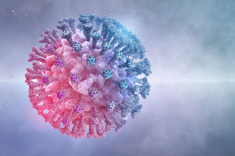 Varian Terbaru Virus Covid-19 Seberapa Berbahaya Virus Omicron? | Dinas Kesehatan