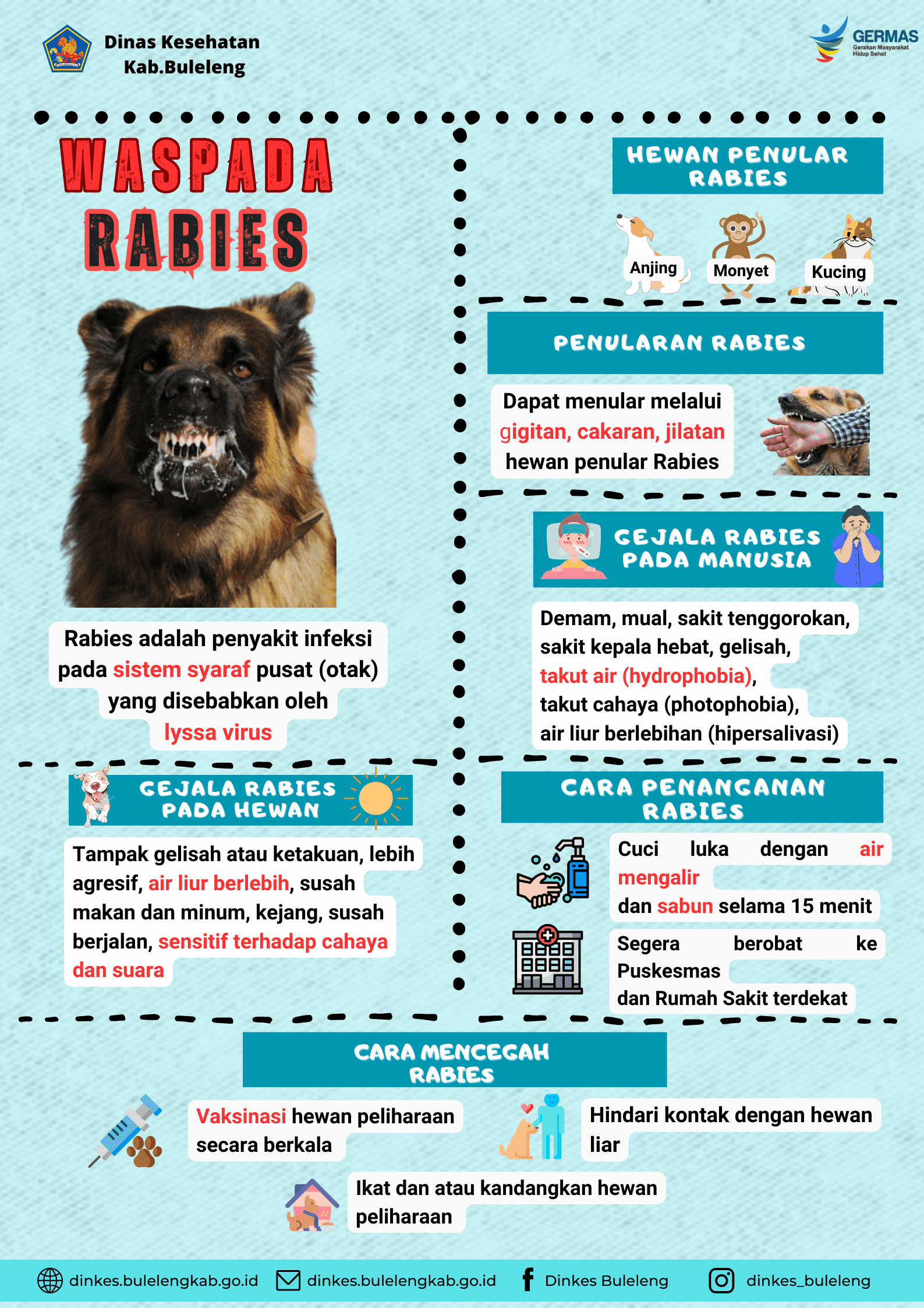 Waspada Rabies, Rabies bisa membunuh anda